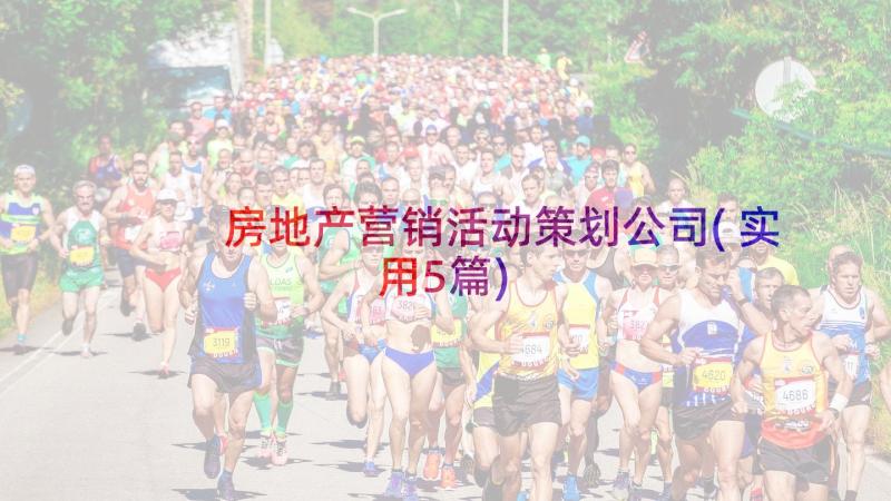 房地产营销活动策划公司(实用5篇)