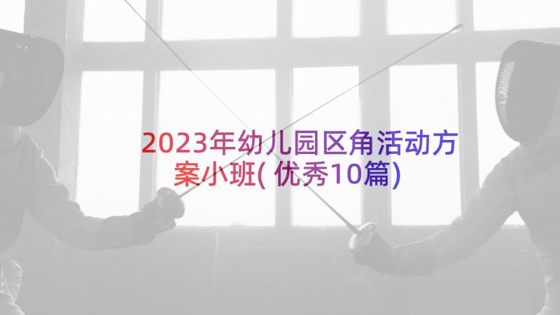 2023年幼儿园区角活动方案小班(优秀10篇)