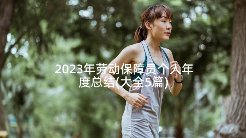 2023年劳动保障员个人年度总结(大全5篇)