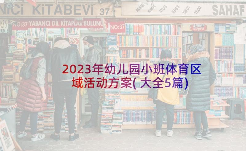 2023年幼儿园小班体育区域活动方案(大全5篇)