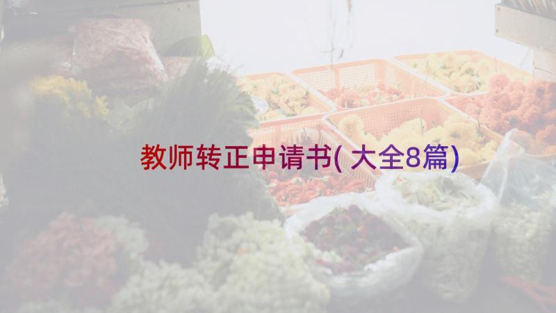 教师转正申请书(大全8篇)