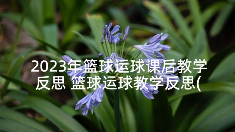 2023年篮球运球课后教学反思 篮球运球教学反思(汇总5篇)