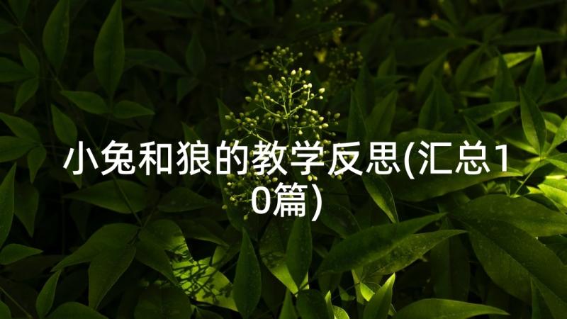 小兔和狼的教学反思(汇总10篇)