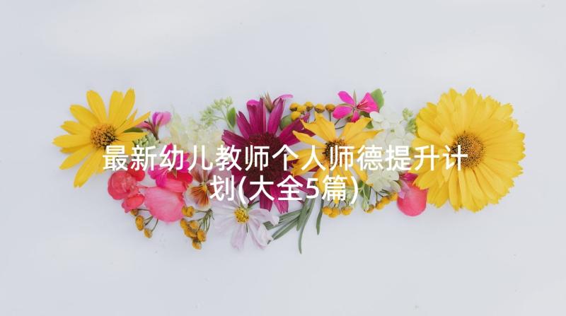 最新幼儿教师个人师德提升计划(大全5篇)