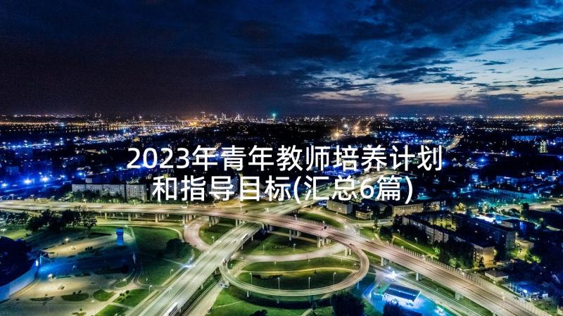 2023年青年教师培养计划和指导目标(汇总6篇)