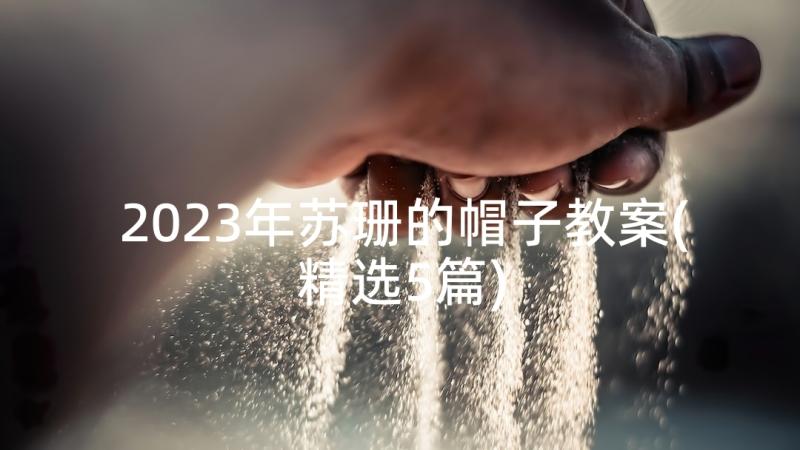 2023年苏珊的帽子教案(精选5篇)