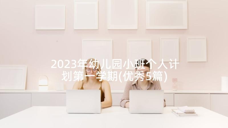 2023年幼儿园小班个人计划第一学期(优秀5篇)