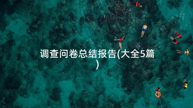 调查问卷总结报告(大全5篇)