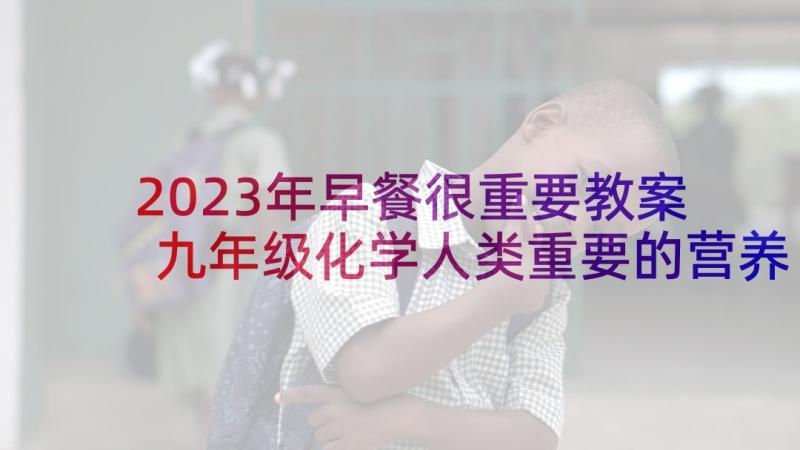 2023年早餐很重要教案 九年级化学人类重要的营养物质教学反思(大全5篇)