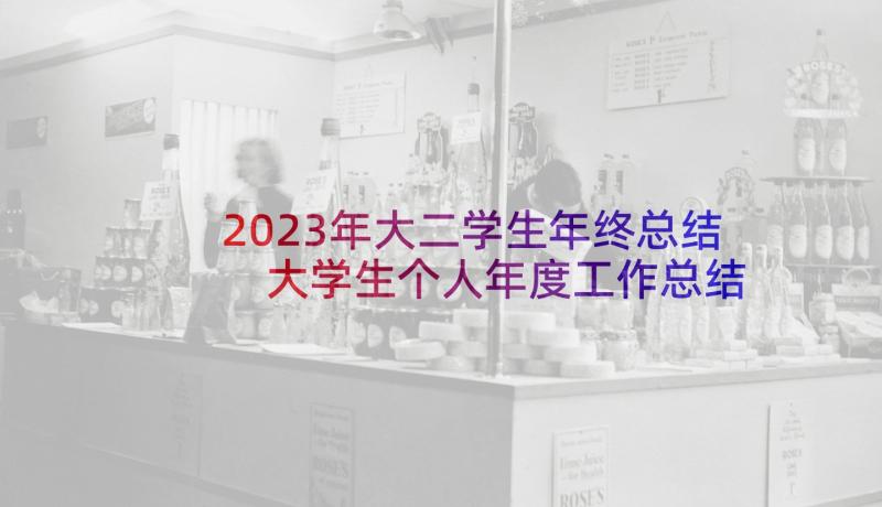 2023年大二学生年终总结 大学生个人年度工作总结(精选7篇)