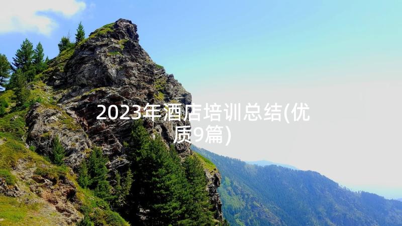 2023年酒店培训总结(优质9篇)