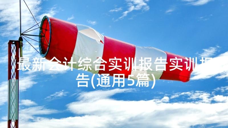 最新会计综合实训报告实训报告(通用5篇)