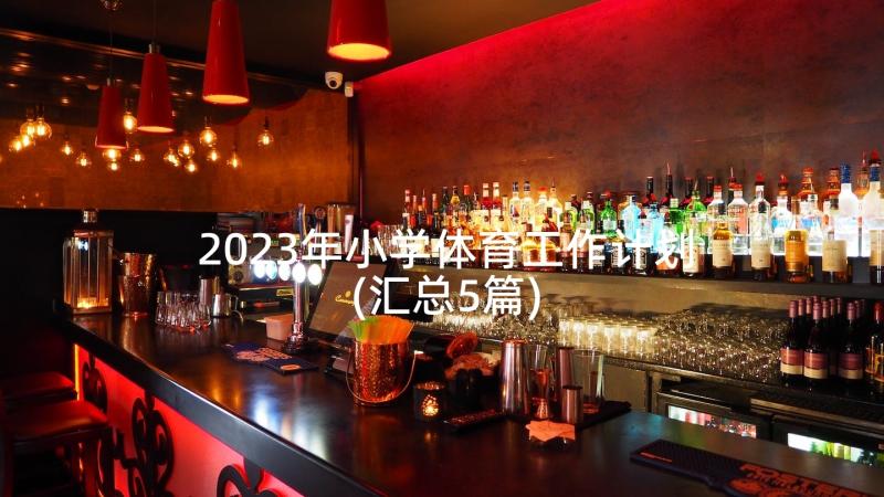 2023年小学体育工作计划(汇总5篇)