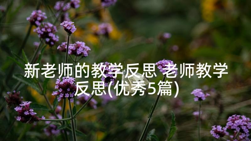 新老师的教学反思 老师教学反思(优秀5篇)