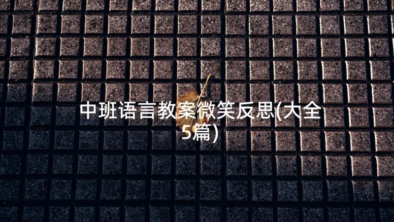 中班语言教案微笑反思(大全5篇)