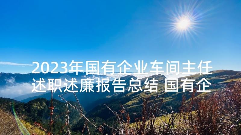 2023年国有企业车间主任述职述廉报告总结 国有企业领导述职述廉报告(大全5篇)