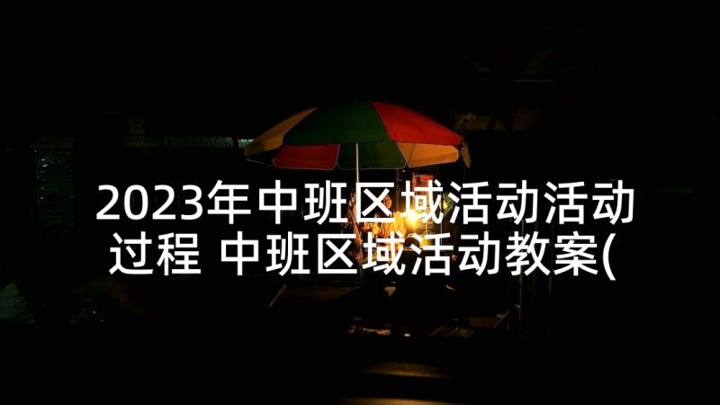 2023年中班区域活动活动过程 中班区域活动教案(精选9篇)