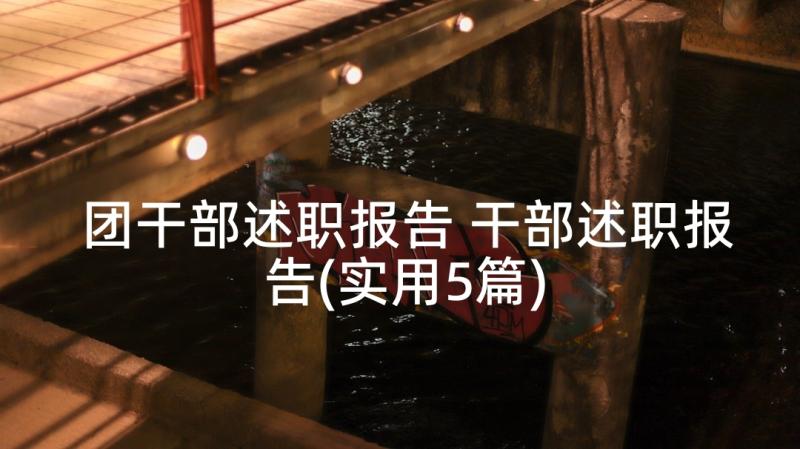 团干部述职报告 干部述职报告(实用5篇)