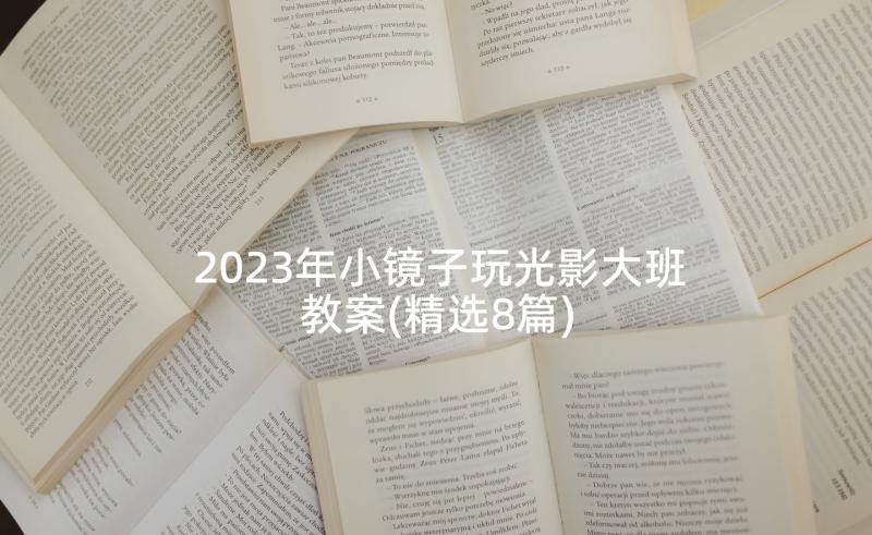 2023年小镜子玩光影大班教案(精选8篇)