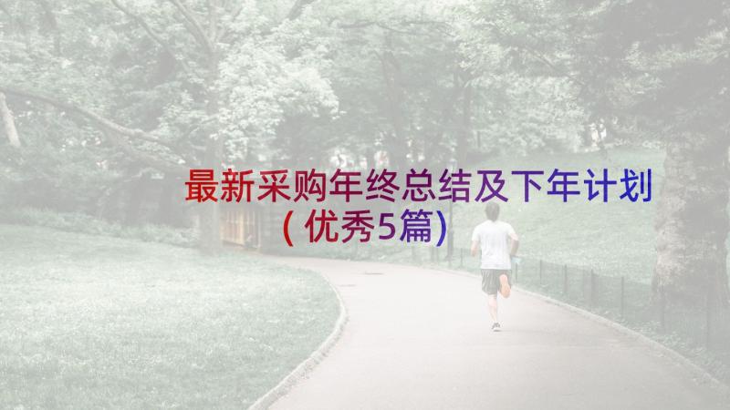 最新采购年终总结及下年计划(优秀5篇)