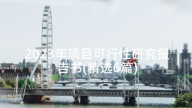 2023年项目可行性研究报告书(精选6篇)