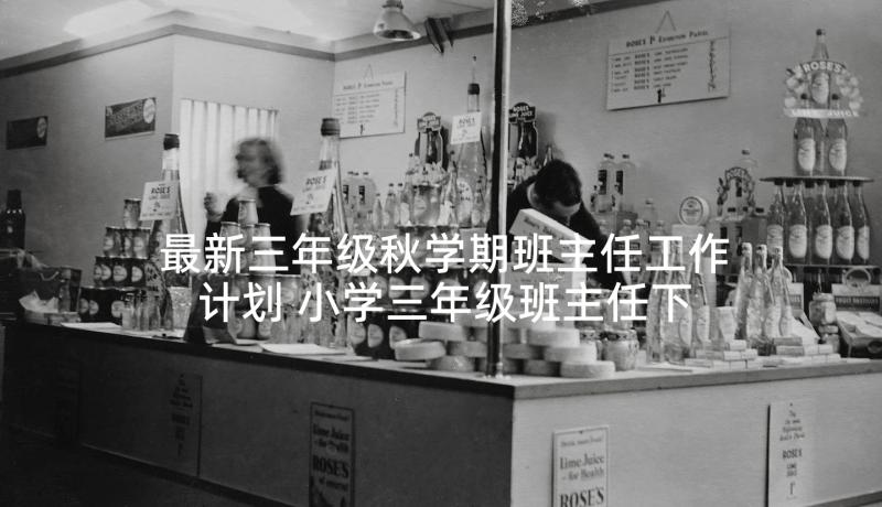 最新三年级秋学期班主任工作计划 小学三年级班主任下学期工作计划(优质6篇)