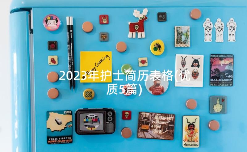 2023年护士简历表格(优质5篇)