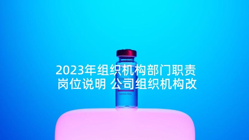 2023年组织机构部门职责岗位说明 公司组织机构改革心得体会(汇总8篇)