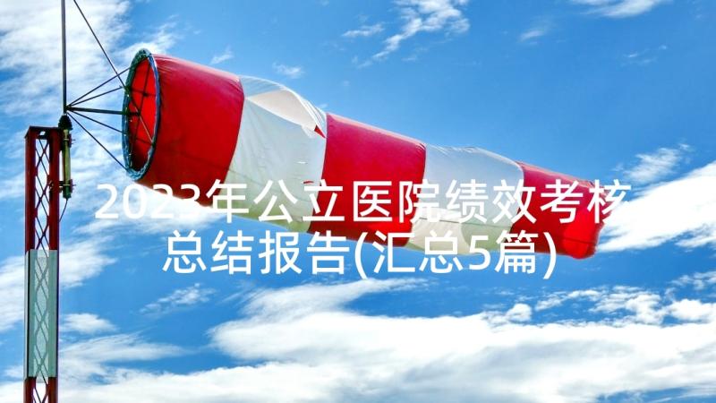 2023年公立医院绩效考核总结报告(汇总5篇)