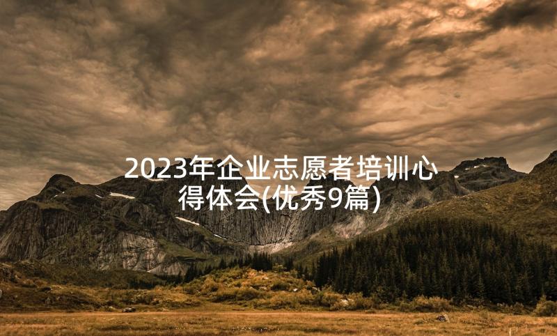 2023年企业志愿者培训心得体会(优秀9篇)