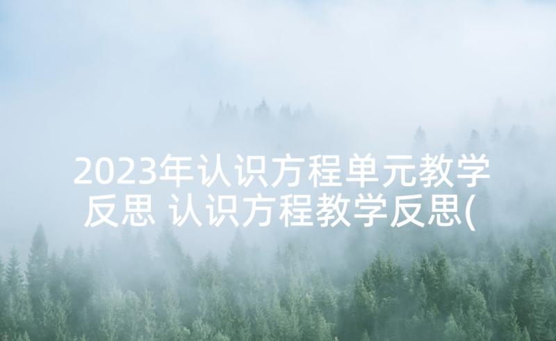 2023年认识方程单元教学反思 认识方程教学反思(精选5篇)