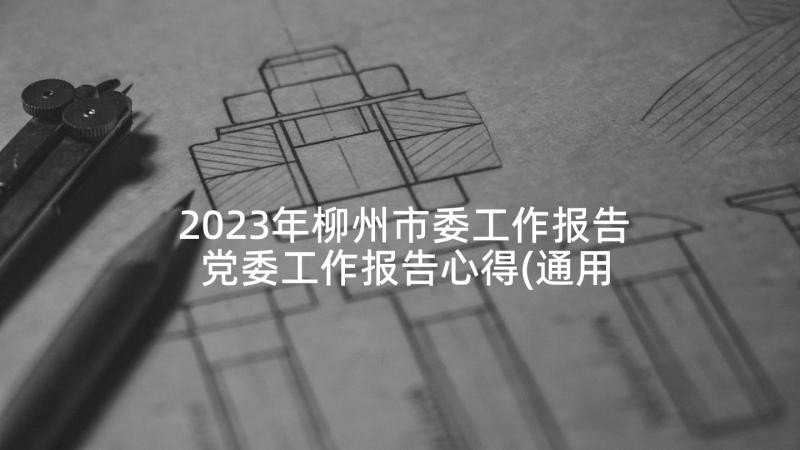 2023年柳州市委工作报告 党委工作报告心得(通用6篇)