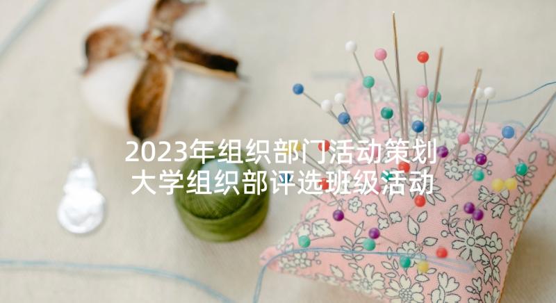 2023年组织部门活动策划 大学组织部评选班级活动策划案(大全5篇)