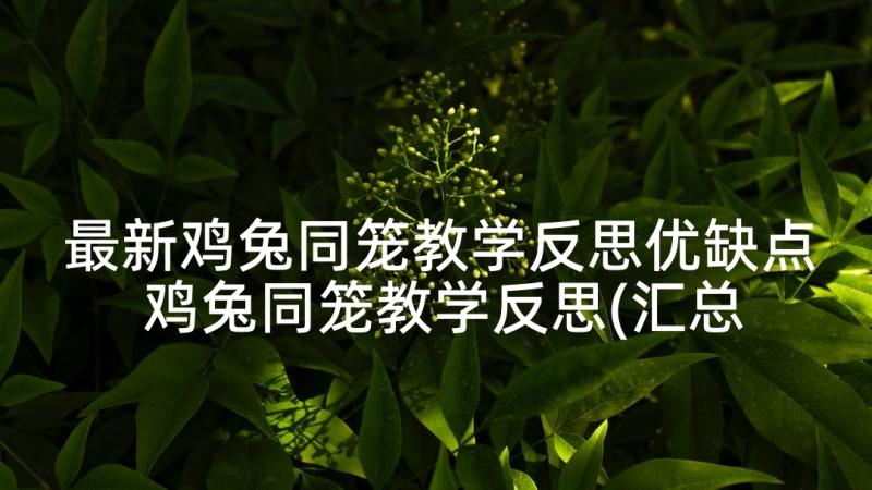 最新鸡兔同笼教学反思优缺点 鸡兔同笼教学反思(汇总9篇)