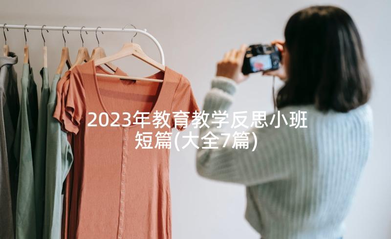 2023年教育教学反思小班短篇(大全7篇)