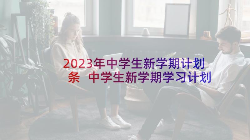 2023年中学生新学期计划条 中学生新学期学习计划(优质8篇)