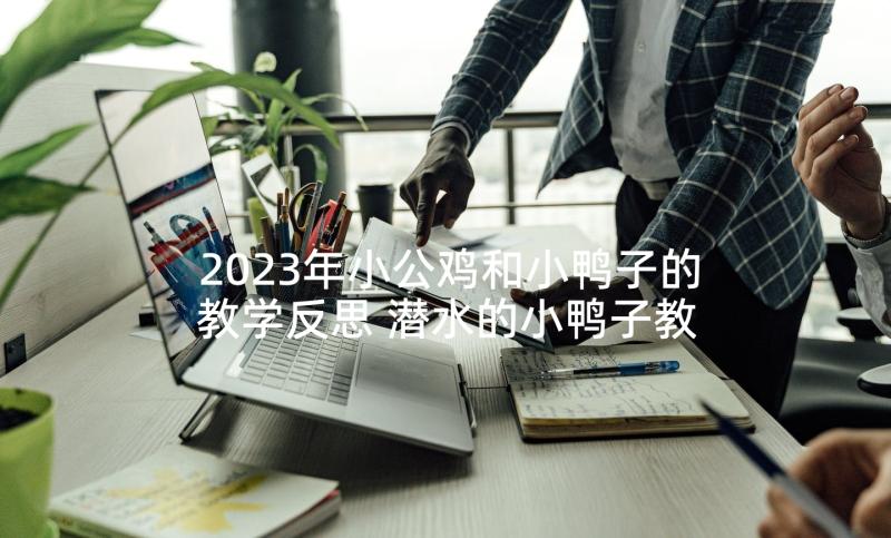 2023年小公鸡和小鸭子的教学反思 潜水的小鸭子教学反思(模板5篇)