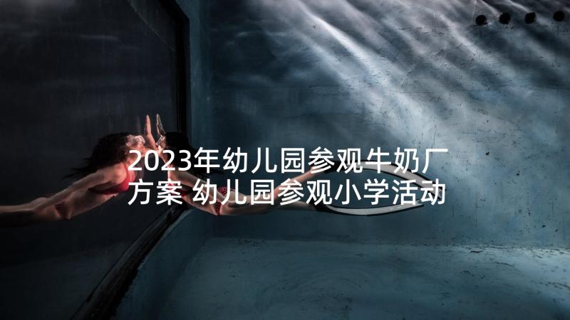 2023年幼儿园参观牛奶厂方案 幼儿园参观小学活动方案(通用5篇)