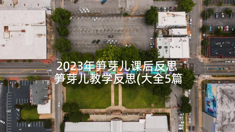 2023年笋芽儿课后反思 笋芽儿教学反思(大全5篇)