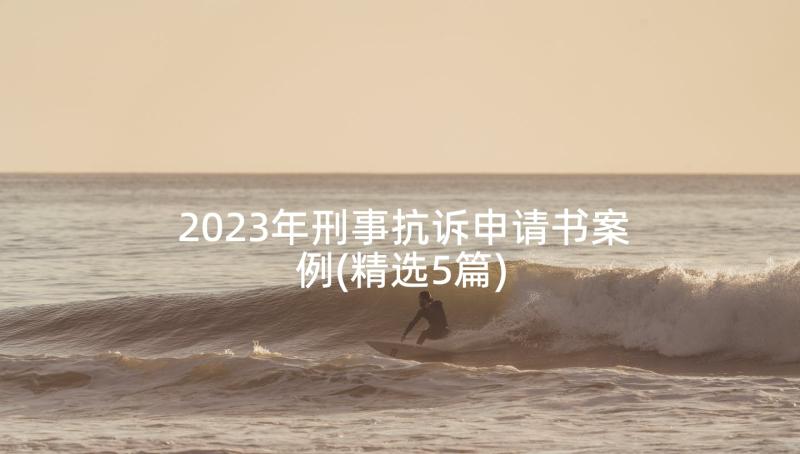 2023年刑事抗诉申请书案例(精选5篇)