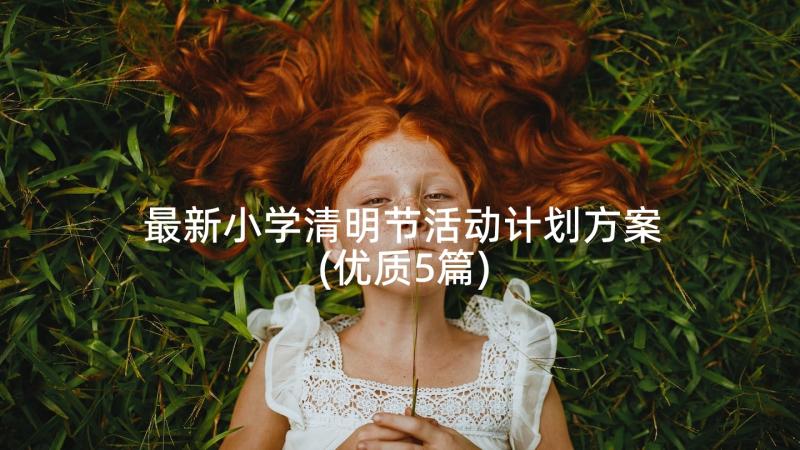 最新小学清明节活动计划方案(优质5篇)