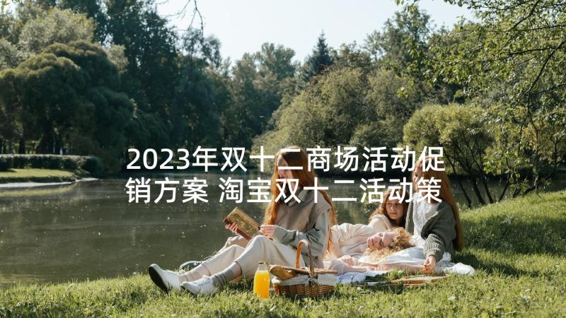 2023年双十二商场活动促销方案 淘宝双十二活动策划(精选5篇)