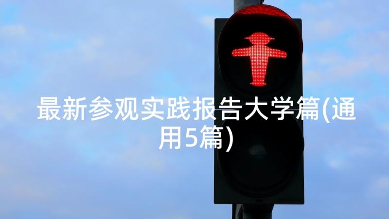 最新参观实践报告大学篇(通用5篇)