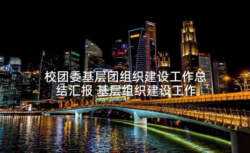 校团委基层团组织建设工作总结汇报 基层组织建设工作总结(模板5篇)