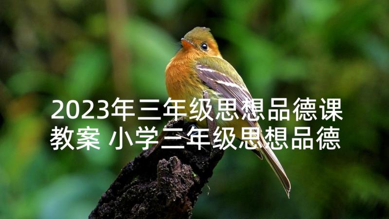 2023年三年级思想品德课教案 小学三年级思想品德教案(优秀9篇)