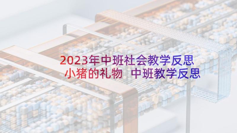 2023年中班社会教学反思小猪的礼物 中班教学反思(精选8篇)