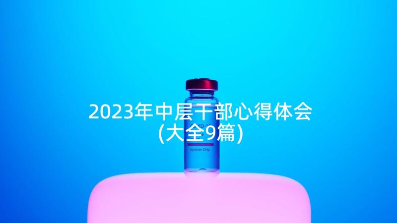 2023年中层干部心得体会(大全9篇)