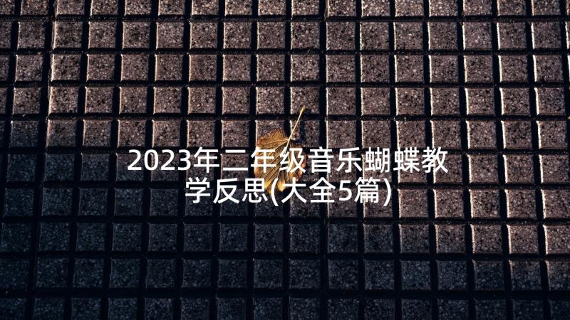 2023年二年级音乐蝴蝶教学反思(大全5篇)