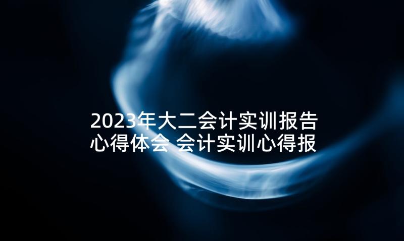 2023年大二会计实训报告心得体会 会计实训心得报告(精选7篇)