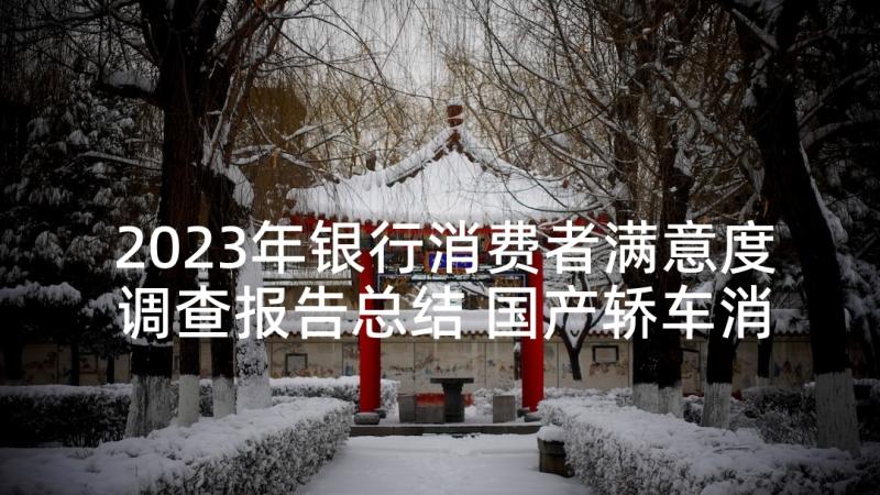 2023年银行消费者满意度调查报告总结 国产轿车消费者满意度调查报告(模板5篇)